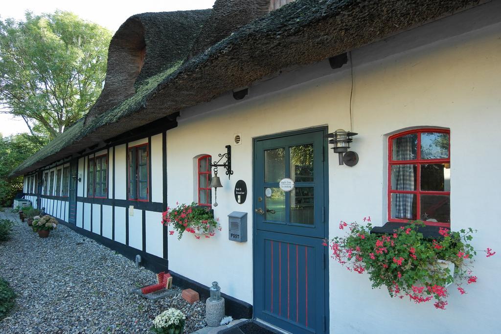 Nabolos Rooms Bovense エクステリア 写真